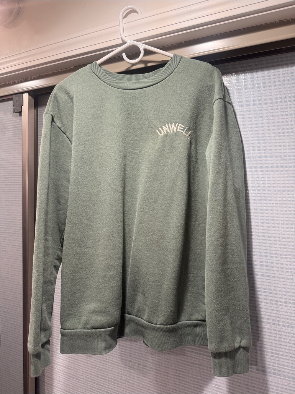 Unwell Crewneck Sweater in Sage Green - Women's